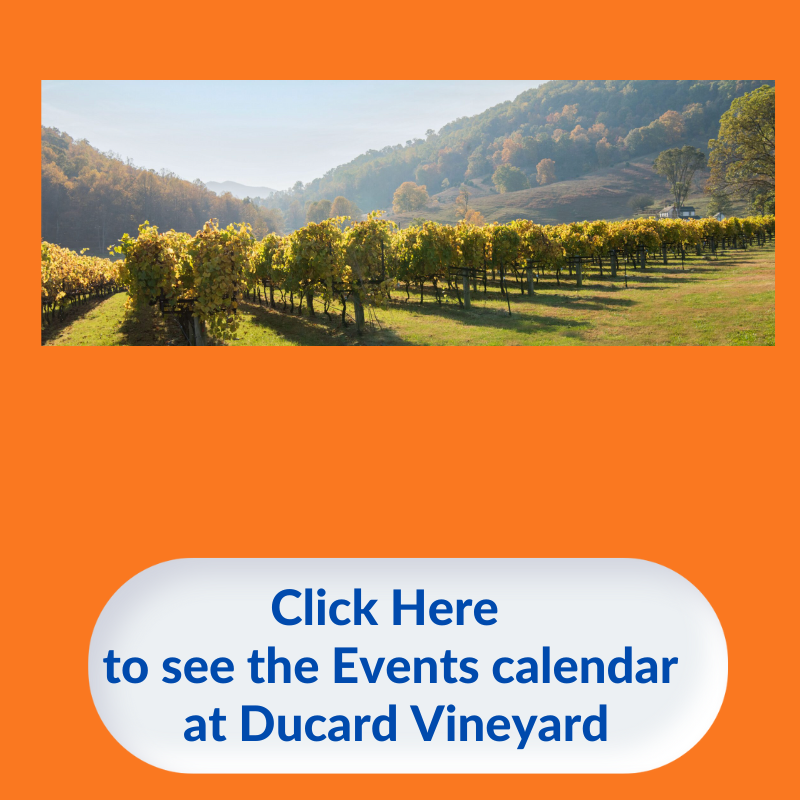 Ducard Vineyard Listing CTA